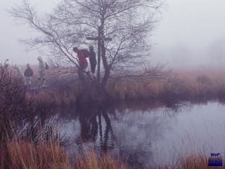 1982 Wallonisches Venn