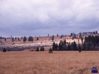 1999 Wallonisches Venn