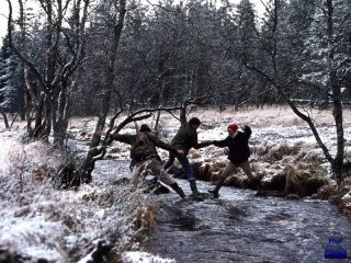 1977 Wallonisches Venn