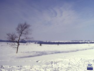 1986 Wallonisches Venn