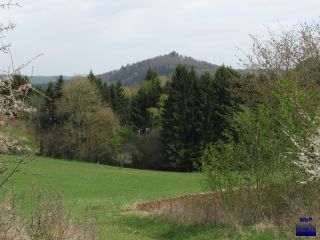 2011 Rockeskyllerkopf