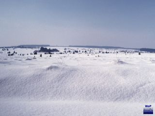 1986 Wallonisches Venn