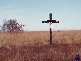 1984 Wallonisches Venn