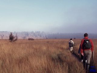 1984 Wallonisches Venn