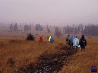 1987 Wallonisches Venn