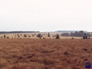 1993 Wallonisches Venn