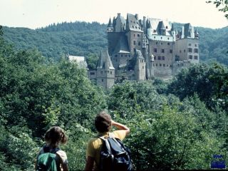 1981 Eltz