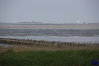 2018 Cuxhaven