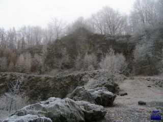 2004 Arensberg