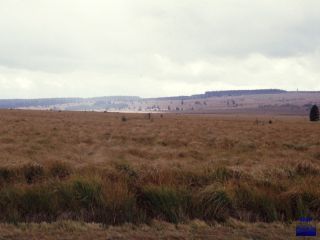 1986 Wallonisches Venn