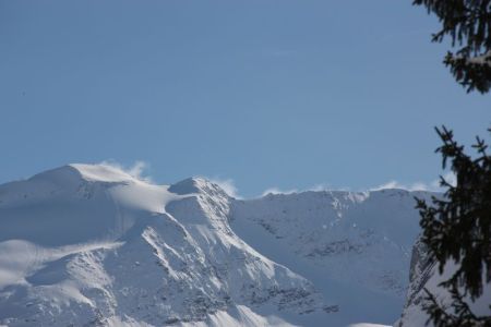 01.03.2014: Lauenen