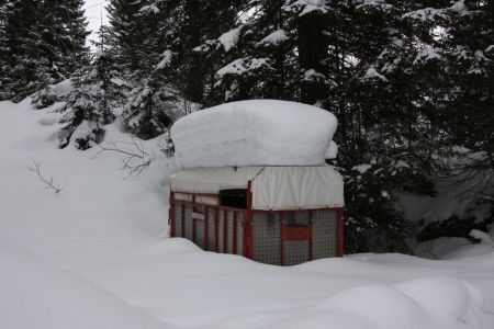 02.03.2014: Lauenen