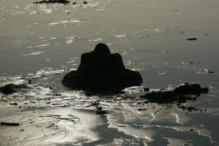 02.03.2007: Borkum