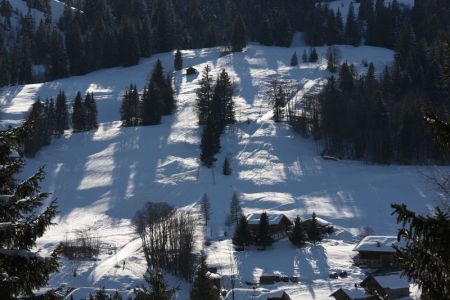 02.03.2014: Lauenen
