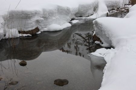 02.03.2014: Lauenen