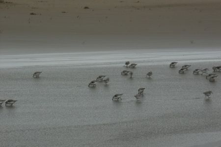 02.03.2007: Borkum