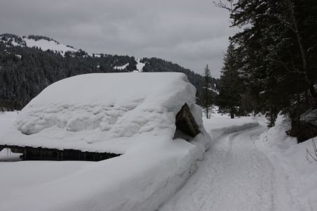 02.03.2014: Lauenen