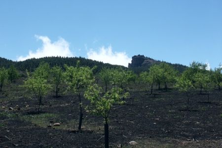 02.04.2005: Gran Canaria