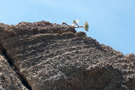 02.04.2005: Gran Canaria