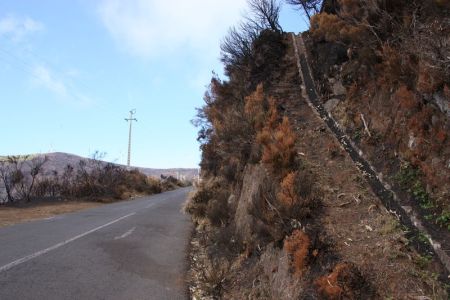 03.09.2016: Madeira