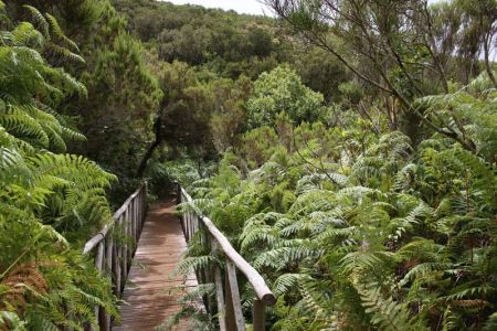 03.09.2016: Madeira