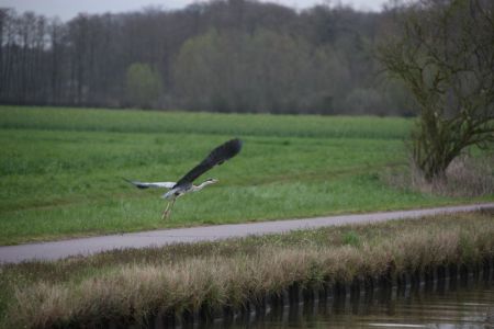 04.04.2016: Frankreich