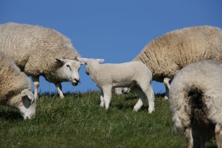 04.04.2015: Butjadingen