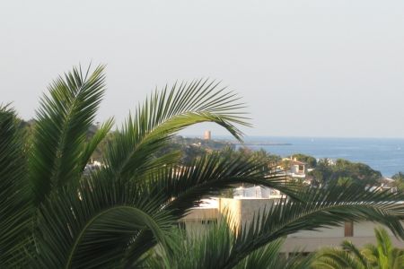 04.07.2010: Mallorca