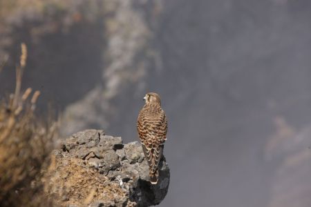 04.09.2016: Madeira