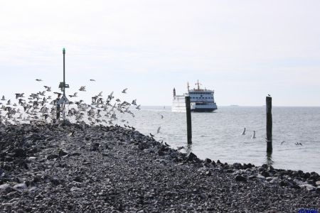 05.04.2013: Föhr