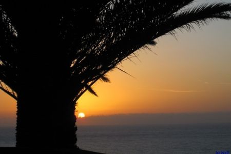 05.11.2010: Madeira