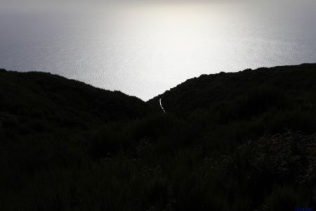 05.11.2010: Madeira