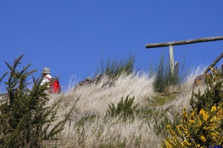 06.11.2010: Madeira