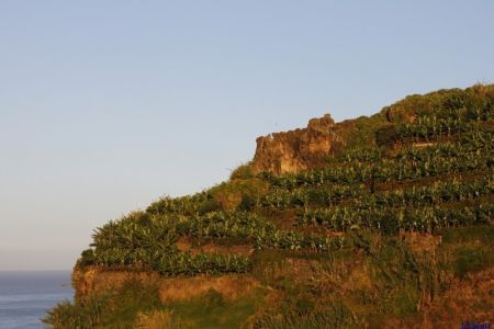 06.11.2010: Madeira