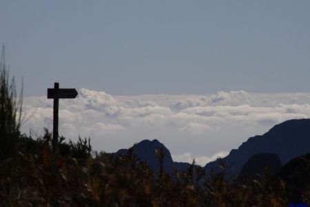 06.11.2010: Madeira
