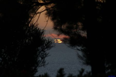 06.11.2010: Madeira