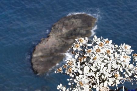 08.11.2010: Madeira