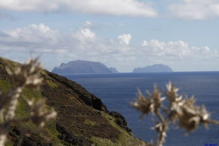 08.11.2010: Madeira