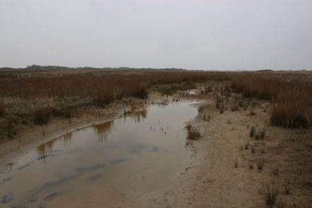 09.04.2012: Borkum