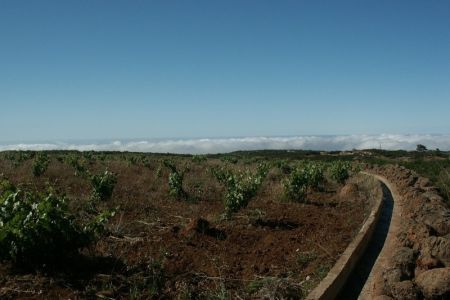 09.06.2009: Teneriffa