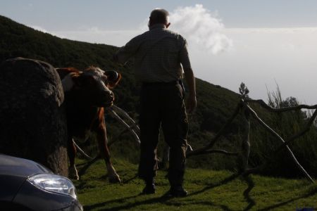 09.11.2010: Madeira
