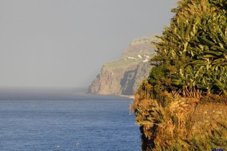 09.11.2010: Madeira