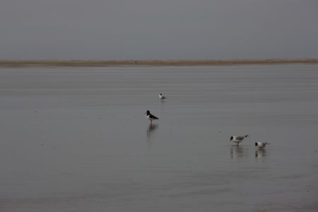 10.04.2012: Borkum