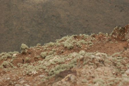 10.08.2007: Lanzarote