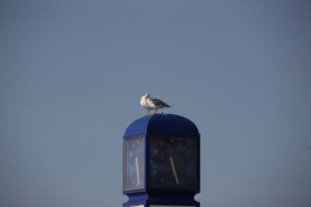11.04.2012: Borkum