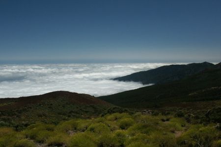 11.06.2009: Teneriffa