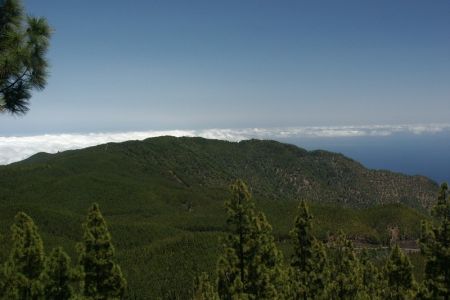 11.06.2009: Teneriffa