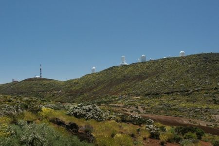 11.06.2009: Teneriffa