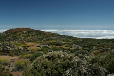 11.06.2009: Teneriffa