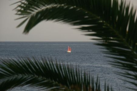 11.06.2009: Teneriffa